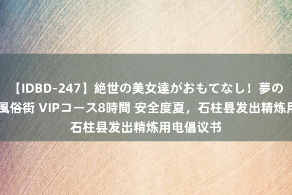 【IDBD-247】絶世の美女達がおもてなし！夢の桃源郷 IP風俗街 VIPコース8時間 安全度夏，石柱县发出精炼用电倡议书