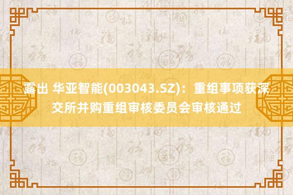 露出 华亚智能(003043.SZ)：重组事项获深交所并购重组审核委员会审核通过