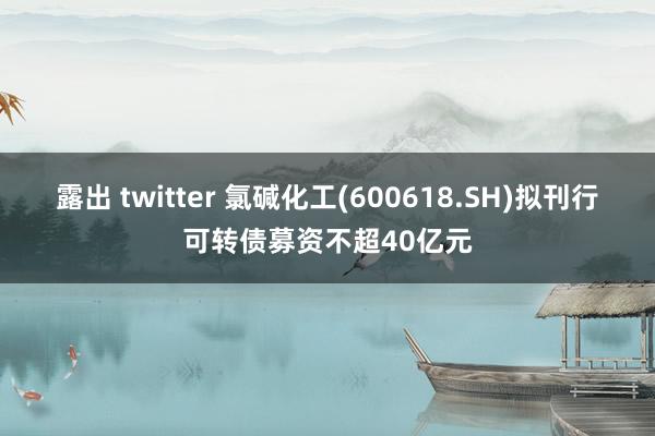 露出 twitter 氯碱化工(600618.SH)拟刊行可转债募资不超40亿元