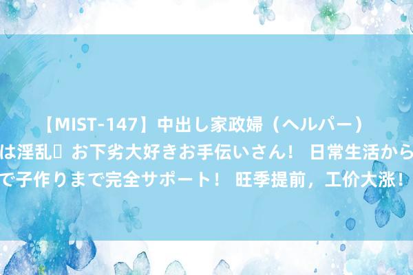 【MIST-147】中出し家政婦（ヘルパー） 清楚で美人な出張家政婦は淫乱・お下劣大好きお手伝いさん！ 日常生活から夜の性活で子作りまで完全サポート！ 旺季提前，工价大涨！郑州比亚迪富士康再现大范围招聘！