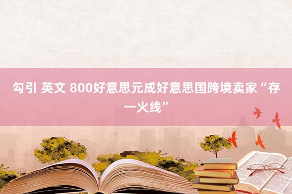 勾引 英文 800好意思元成好意思国跨境卖家“存一火线”