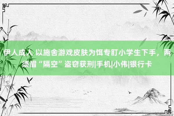 伊人成人 以施舍游戏皮肤为饵专盯小学生下手，两须眉“隔空”盗窃获刑|手机|小伟|银行卡